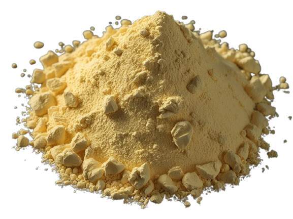 Chicken Noodle Chips Flavor